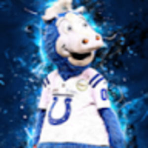 Meet your Posher, Darius